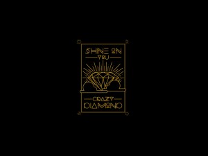 Shine Shirt